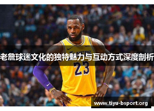 老詹球迷文化的独特魅力与互动方式深度剖析