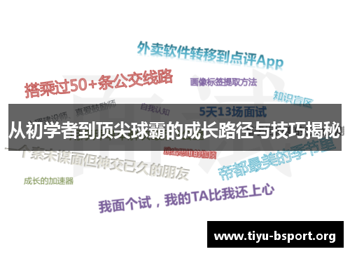 从初学者到顶尖球霸的成长路径与技巧揭秘