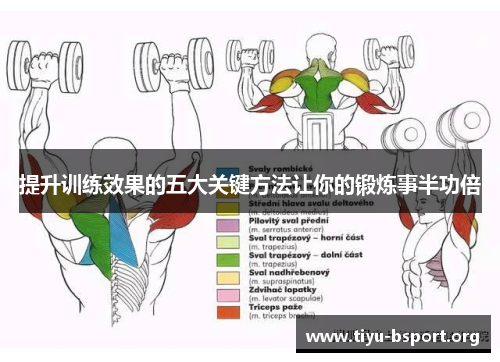 提升训练效果的五大关键方法让你的锻炼事半功倍