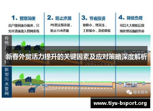 新春外贸活力提升的关键因素及应对策略深度解析