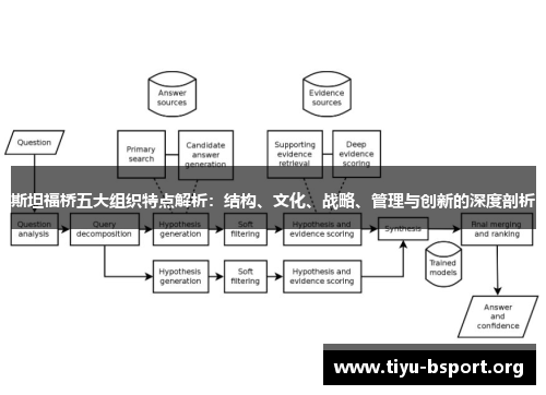 斯坦福桥五大组织特点解析：结构、文化、战略、管理与创新的深度剖析
