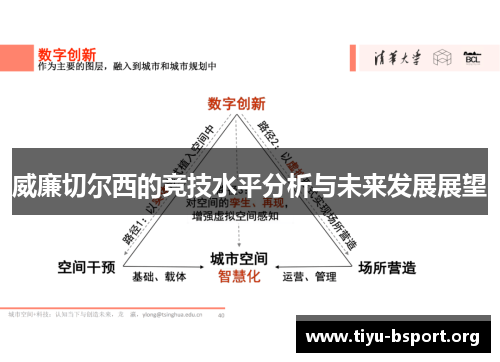 威廉切尔西的竞技水平分析与未来发展展望