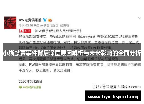 小斯禁赛事件背后深层原因解析与未来影响的全面分析