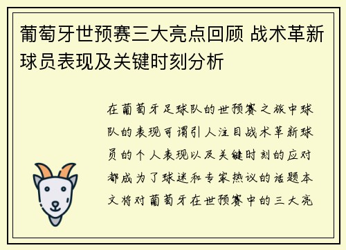 葡萄牙世预赛三大亮点回顾 战术革新球员表现及关键时刻分析