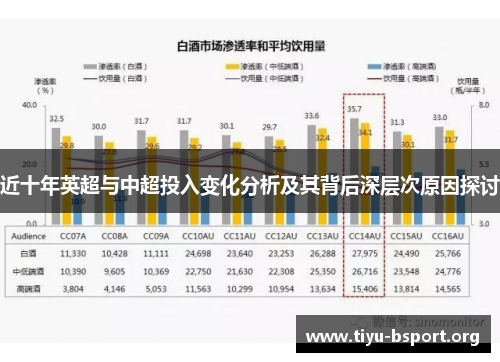近十年英超与中超投入变化分析及其背后深层次原因探讨 近十年英超与中超投入变化分析及其背后深层次原因探讨